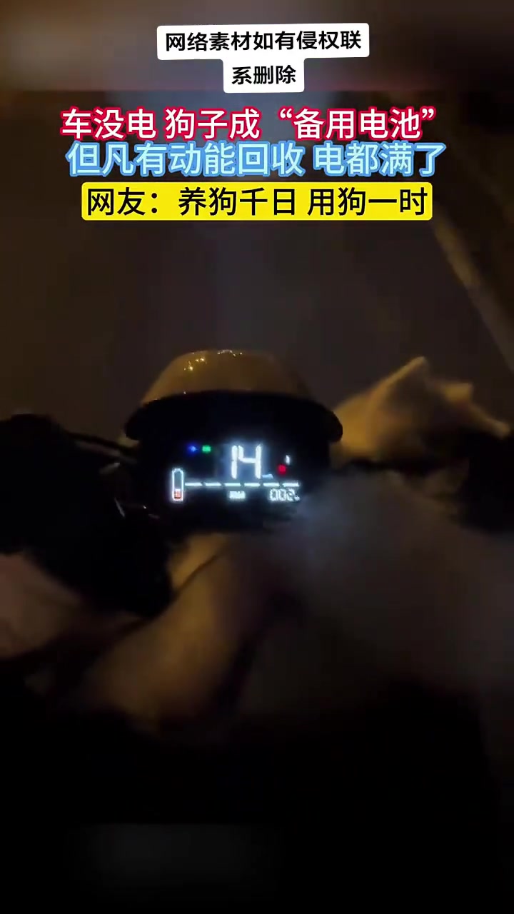 车没电，狗狗成“备用电池”