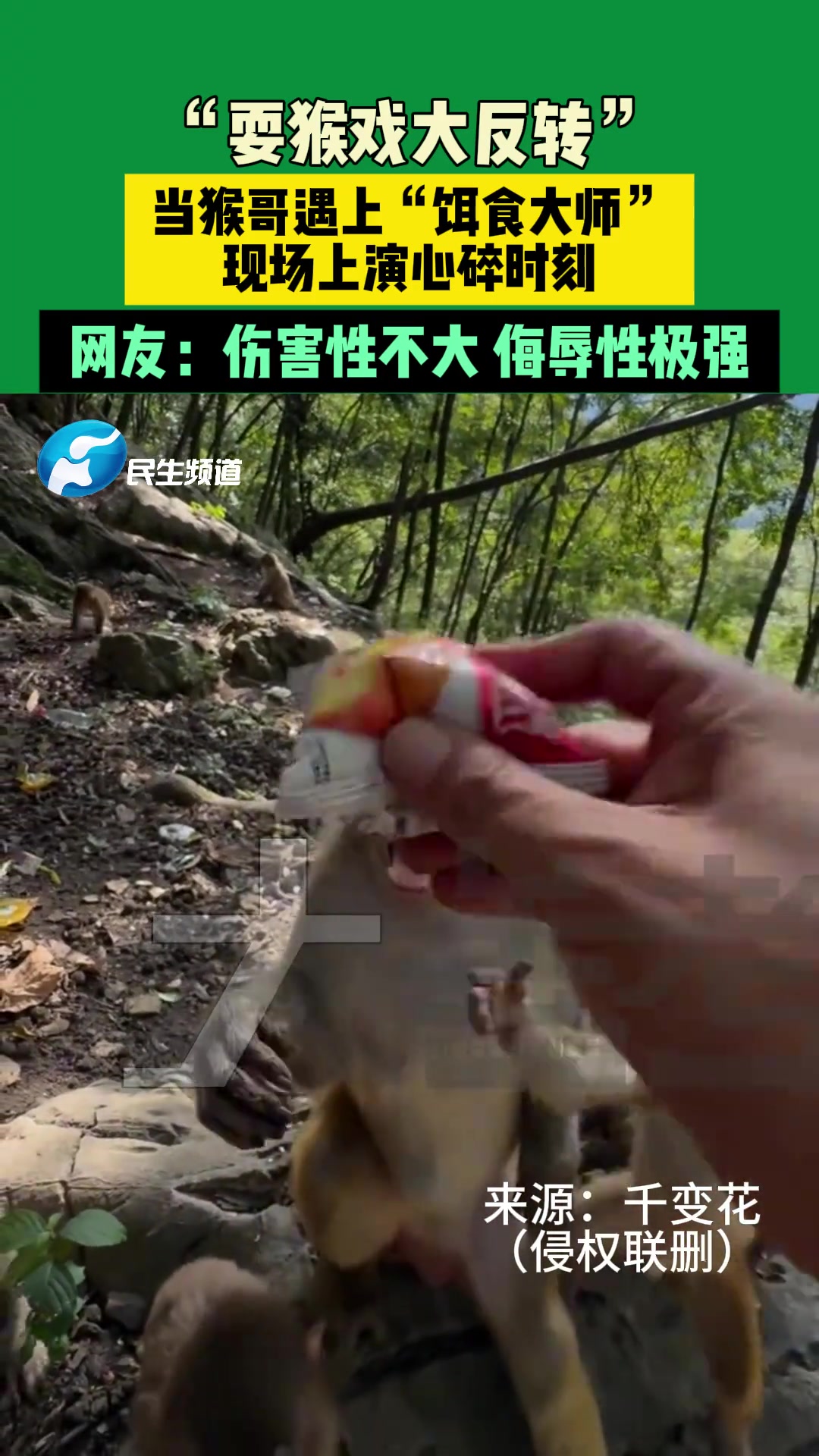 “耍猴戏”大反转，当猴哥遇上“饵食大师”，现场上演心碎时刻！