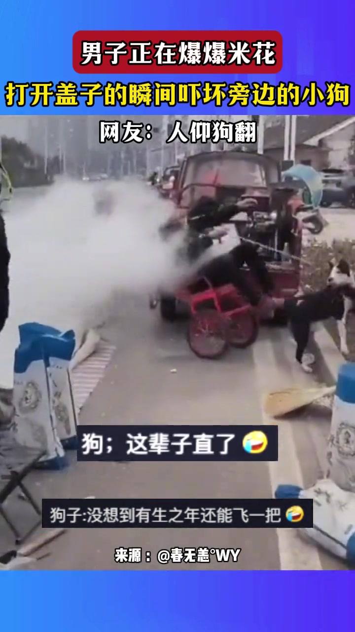 男子正在爆爆米花，打开盖子的瞬间吓坏旁边的小狗
