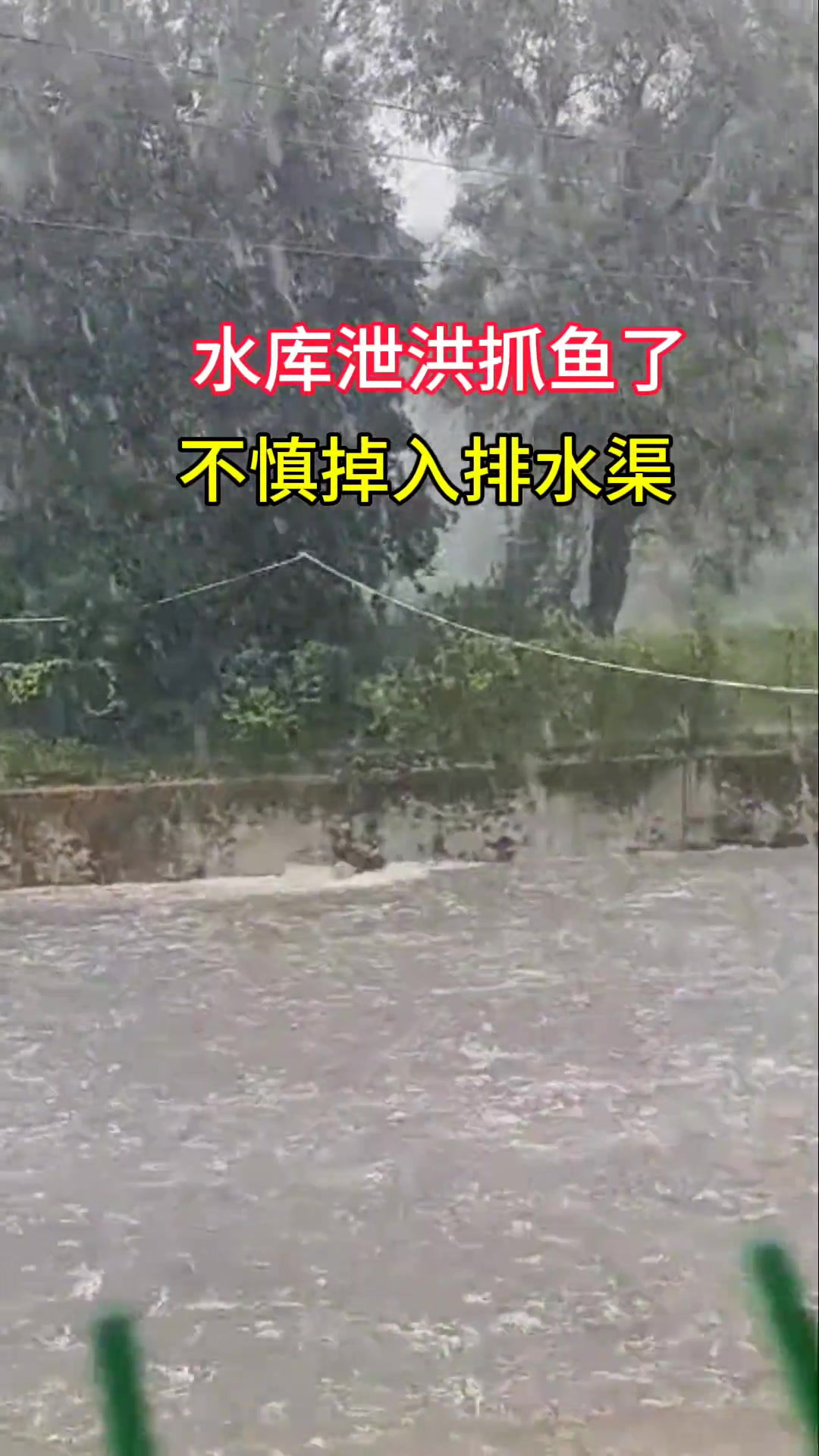 松涛水库泄洪去捞鱼了海南洪灾水库开闸泄洪
