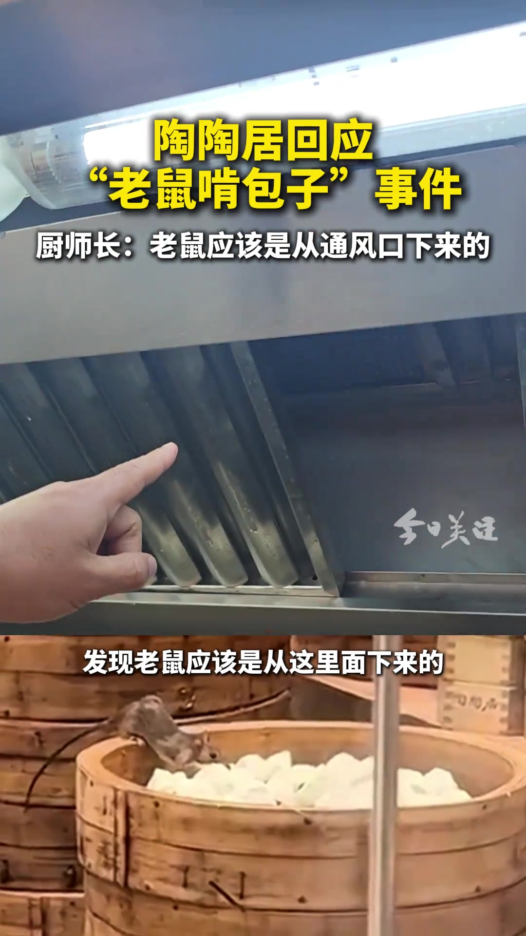 广州陶陶居被拍到老鼠在蒸笼上啃包子