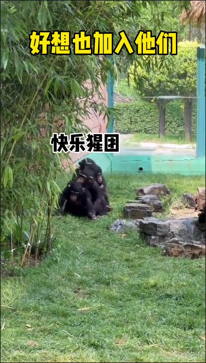 快乐其实很简单