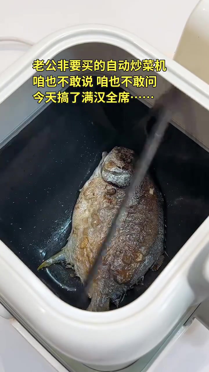 花一千多买的自动炒菜机，什么水平
