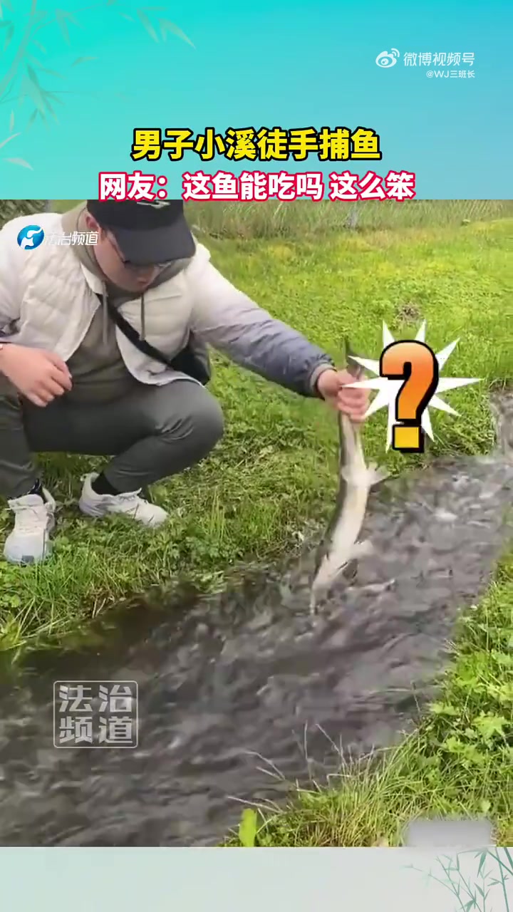这鱼哪个市场买的藏在河道里也够辛苦的吧