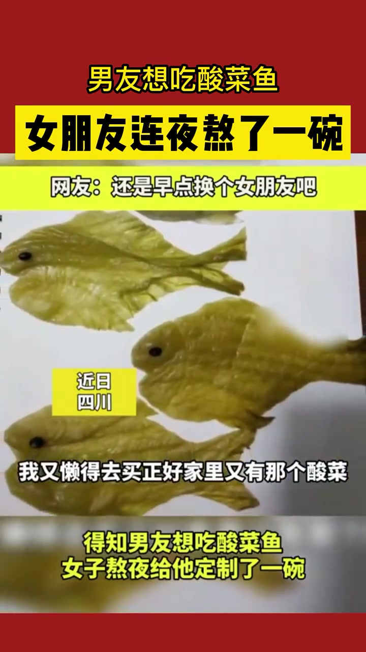 这才是正儿八经的酸菜鱼