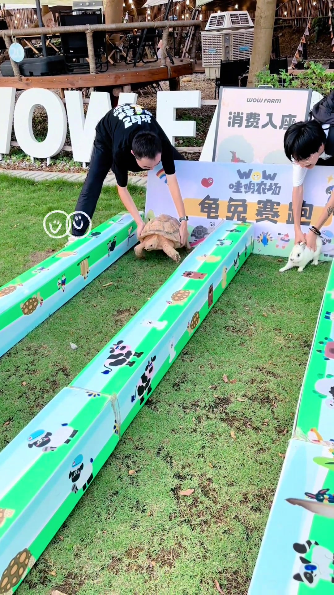 欢乐兔子现实版的龟兔赛跑