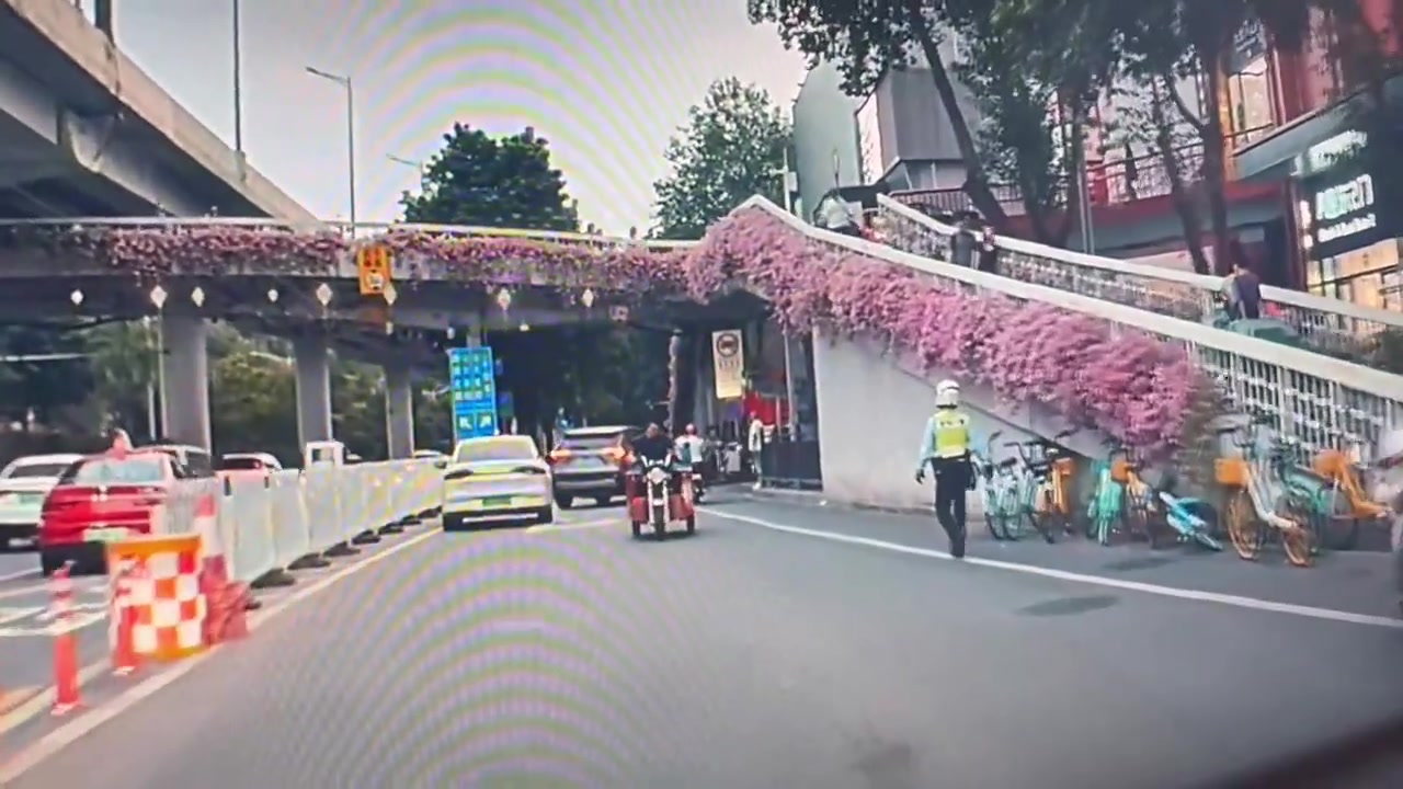 有卧龙的地方，必定有凤雏
