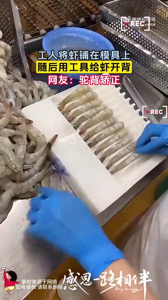 这给虾哥治驼背呢！还带背背佳！