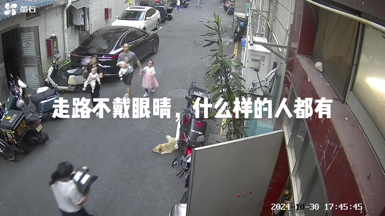 不懂就问，这到底算是谁的错