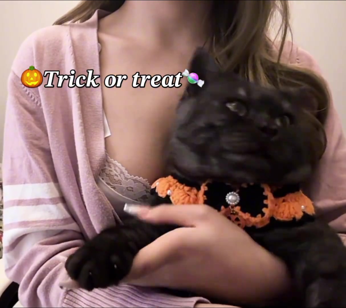 我是真嫉妒小姐姐的猫啊