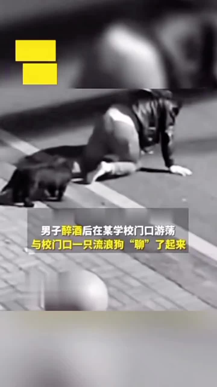 男子醉酒和路边狗子聊天，给狗子炫技，结果被拘留