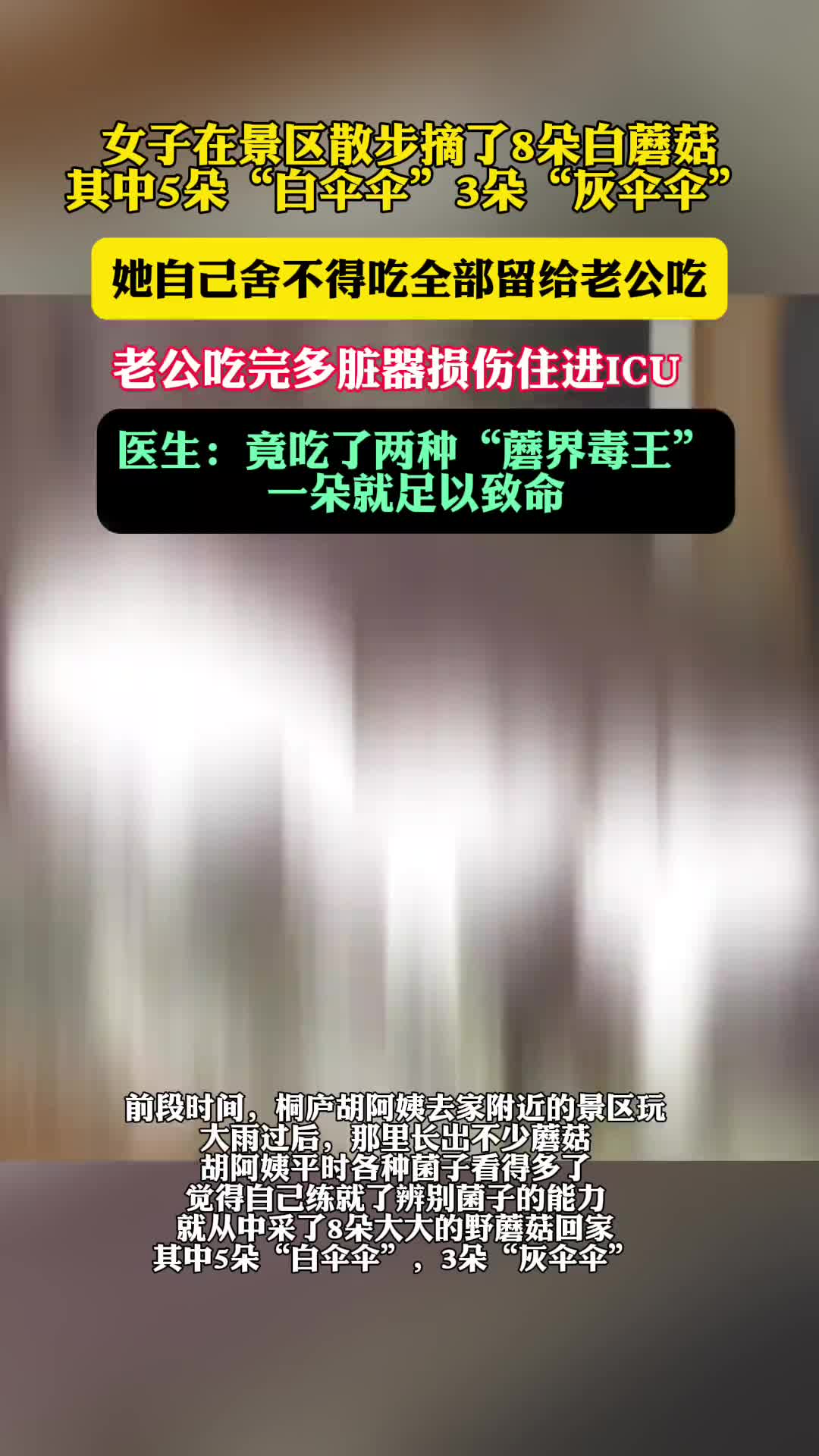 女子采到的蘑菇舍不得吃，老公吃完直接进ICU，不吃不认识的蘑菇