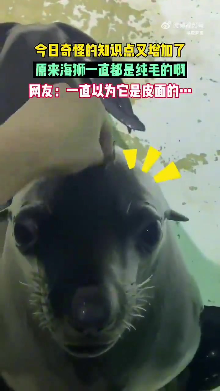 原来它不是光面是磨毛的