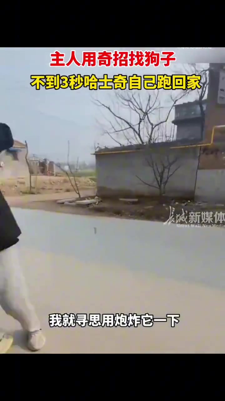 哈士奇正确的打开方式