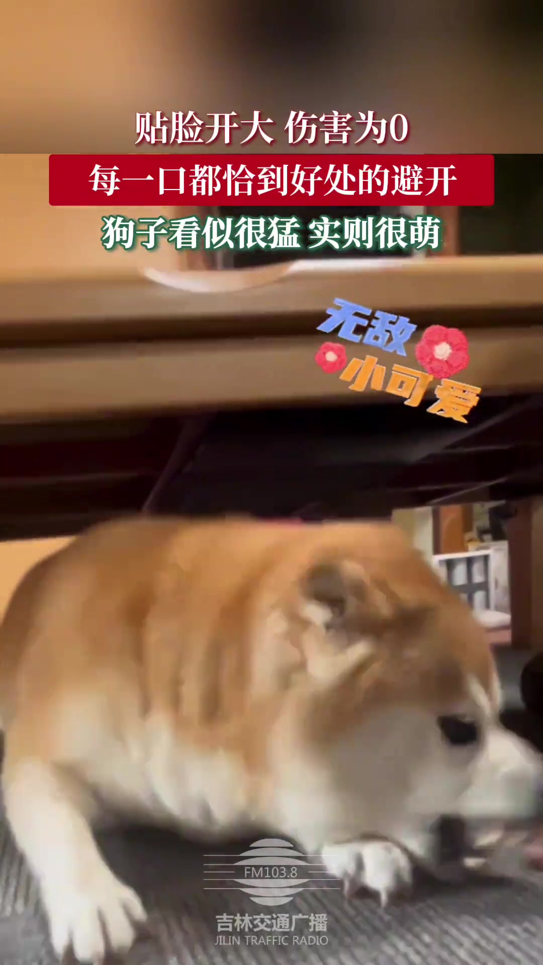 贴脸开大，伤害为零！