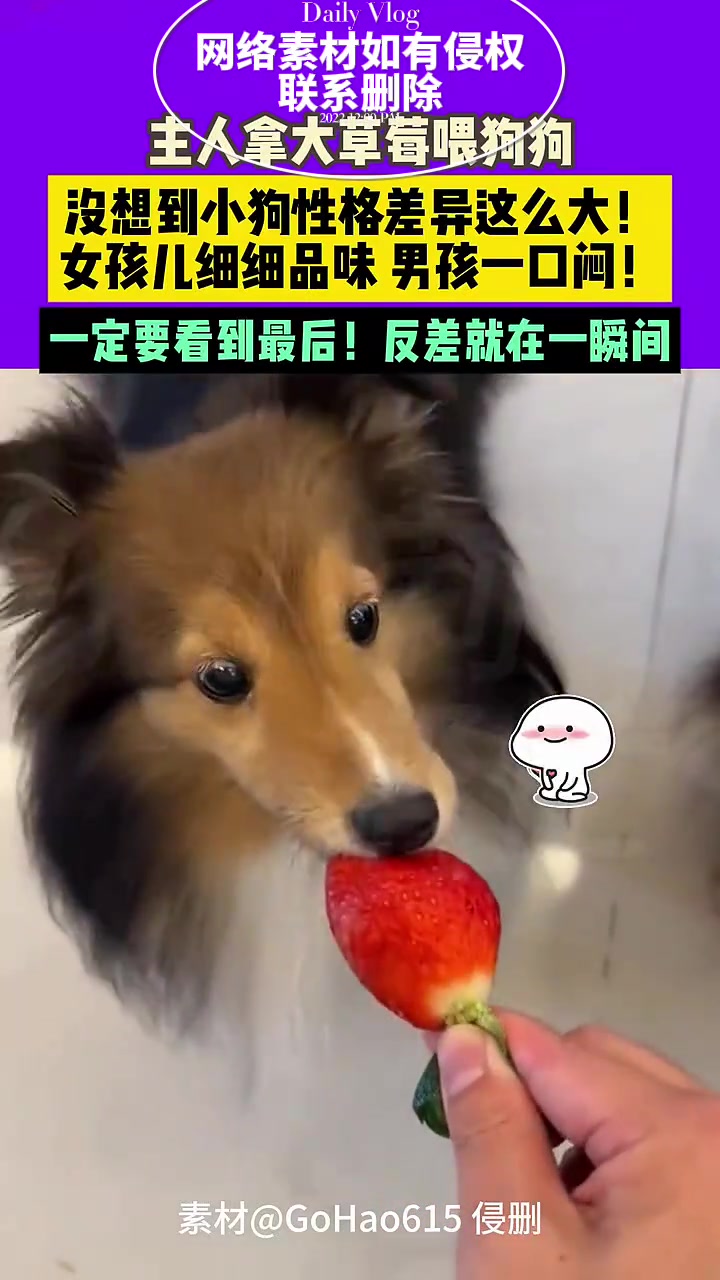 这就是男女吃饭的区别吧