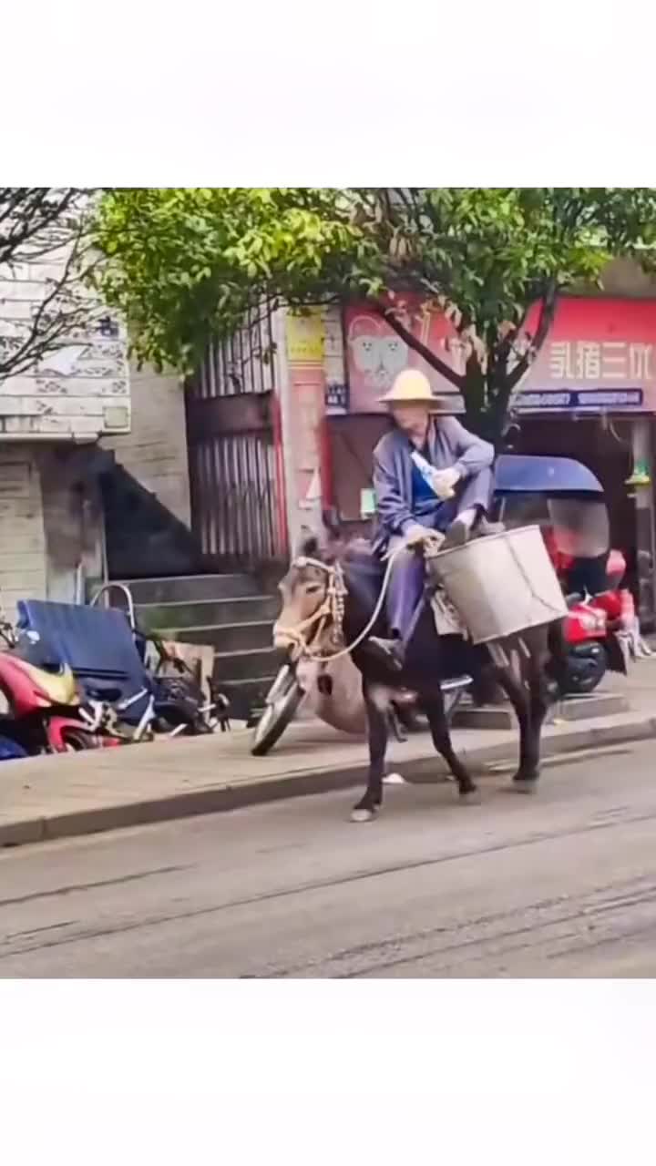 大爷骑驴在街上喝酒：网友：这算不算酒驾