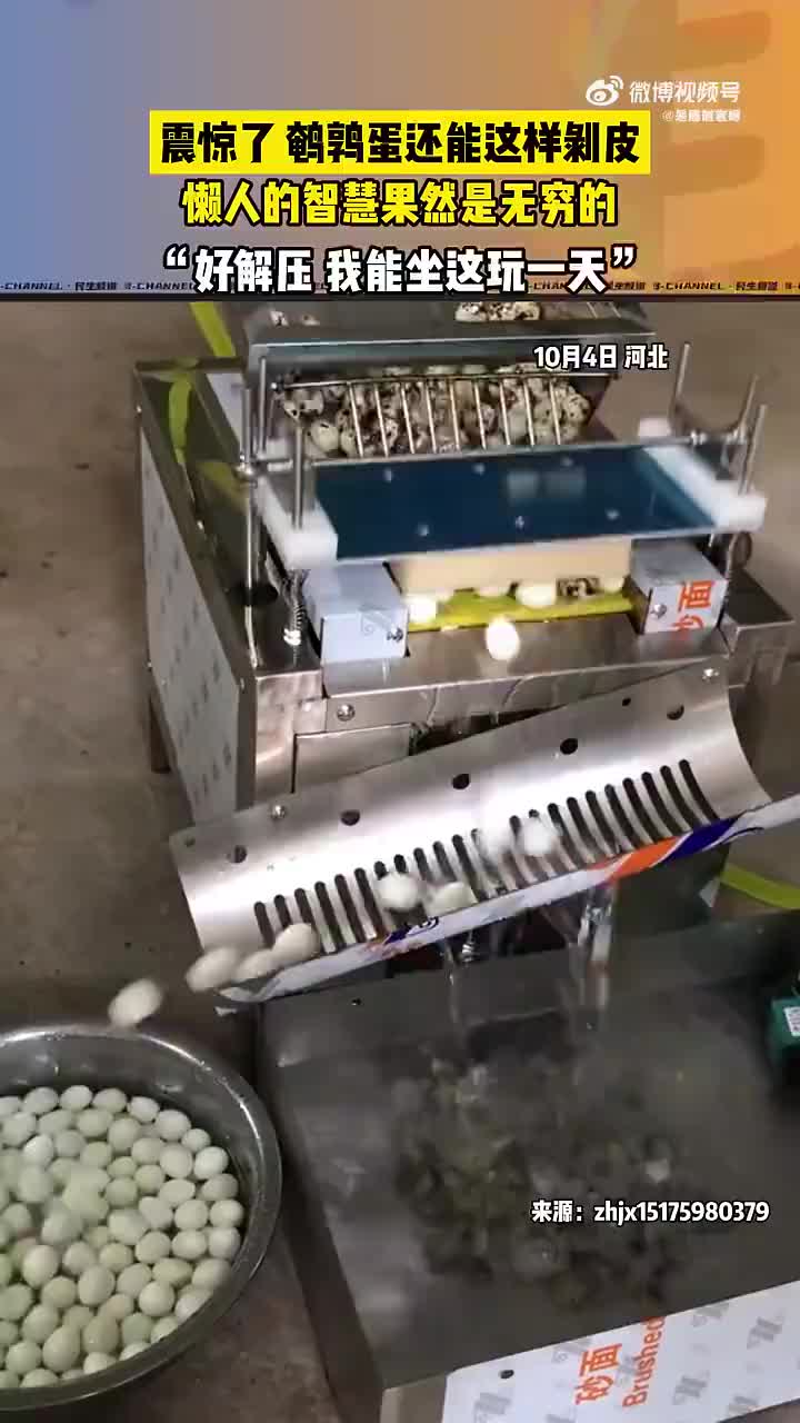 鹌鹑蛋原来只这样机械化剥皮的！看样子也是蛮有意思的