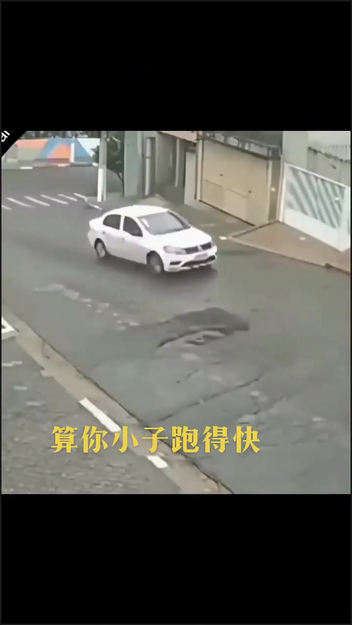 算你小子跑得快