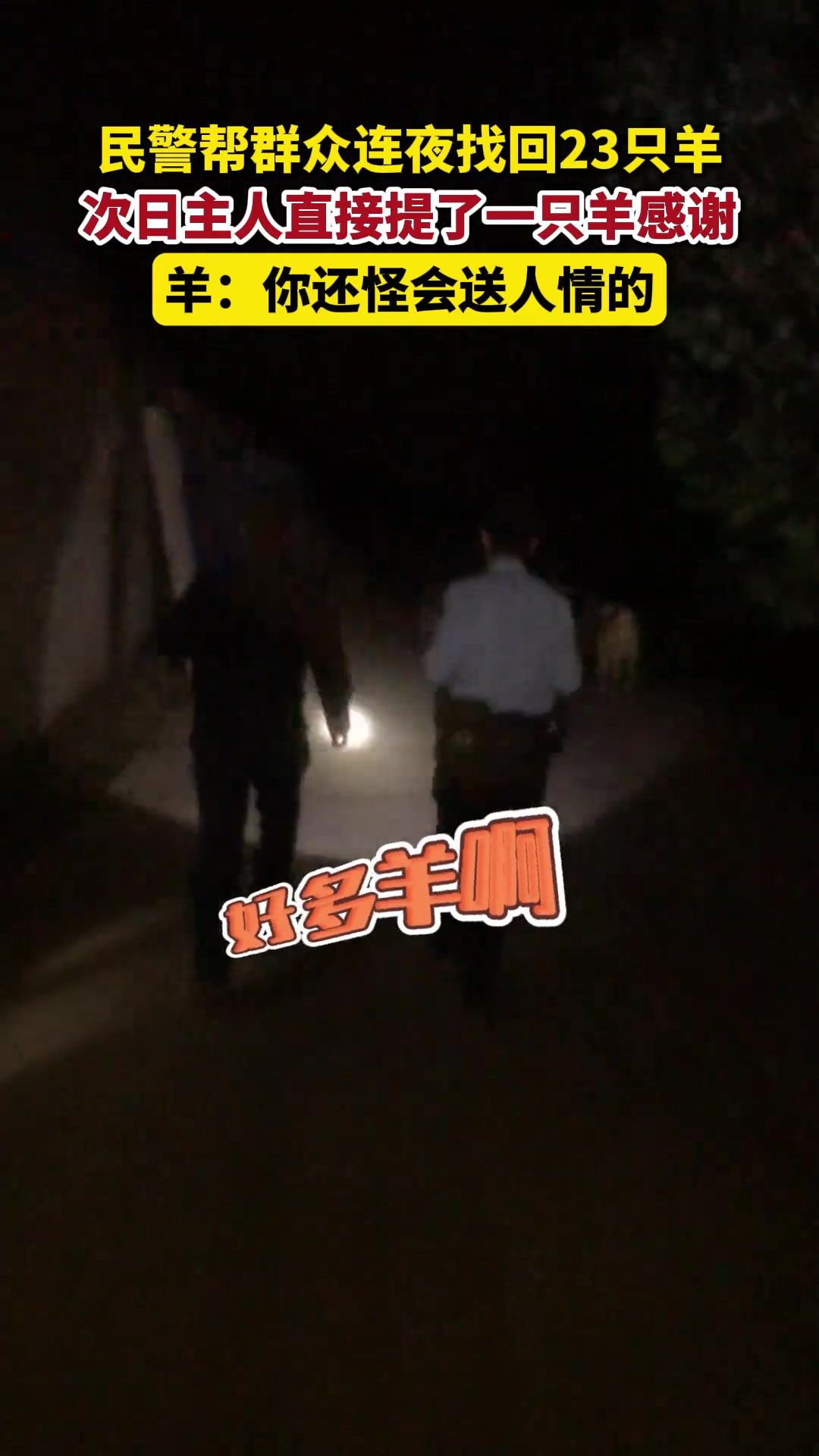 民警帮群众连夜找回23只羊