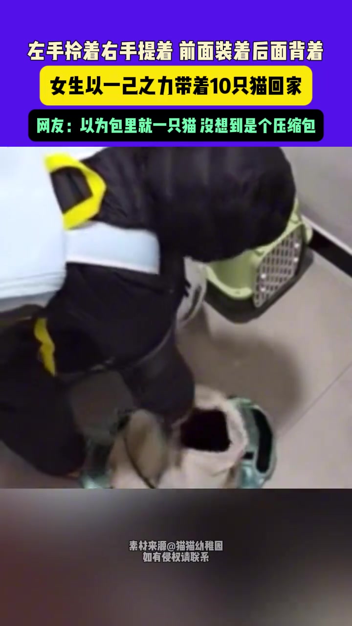 左手拎右手提，前面装着后面背着，女生以一己之力带着10只猫回家
