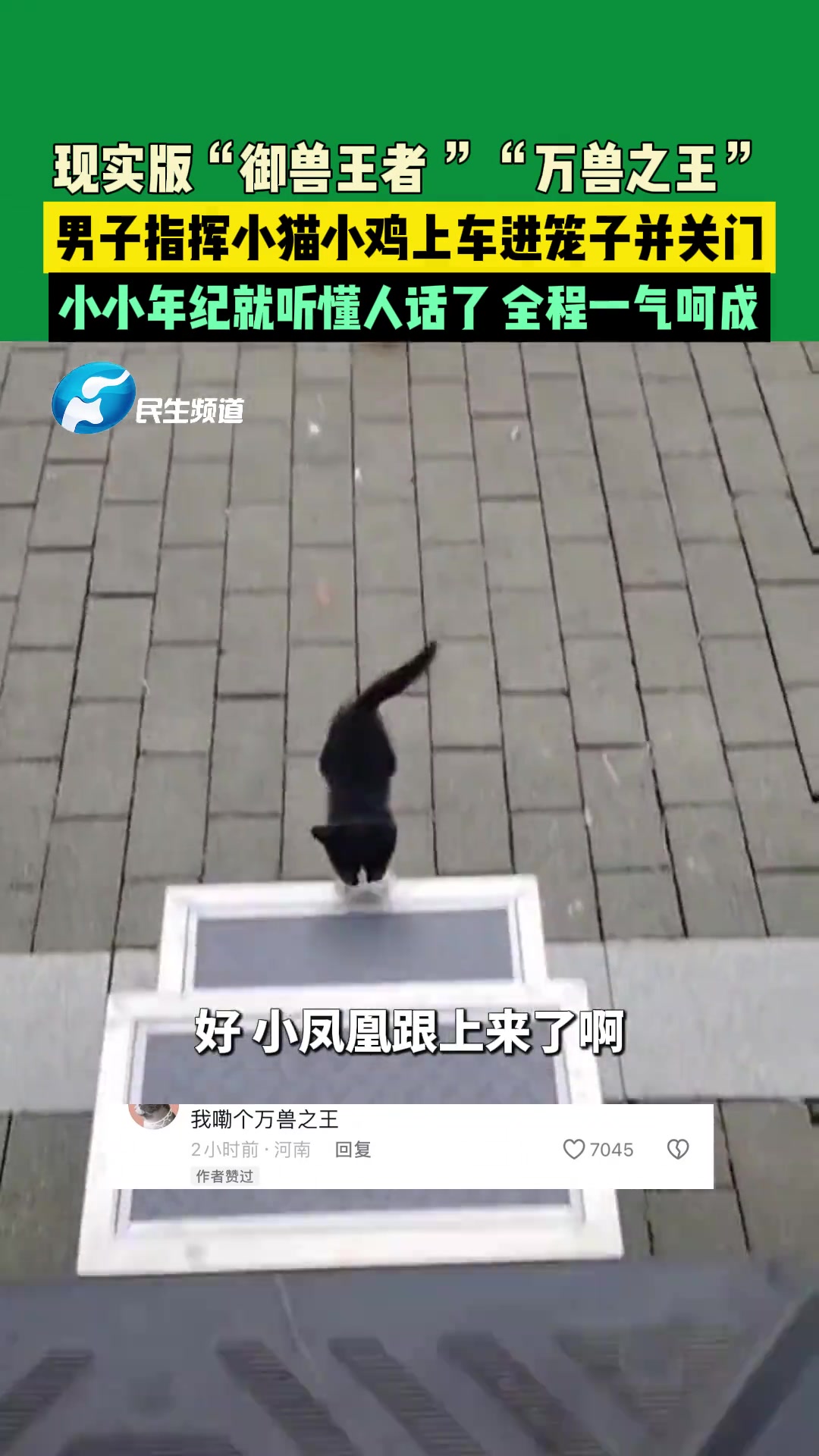 这简直就是现实版“御兽王者”、“万兽之王”