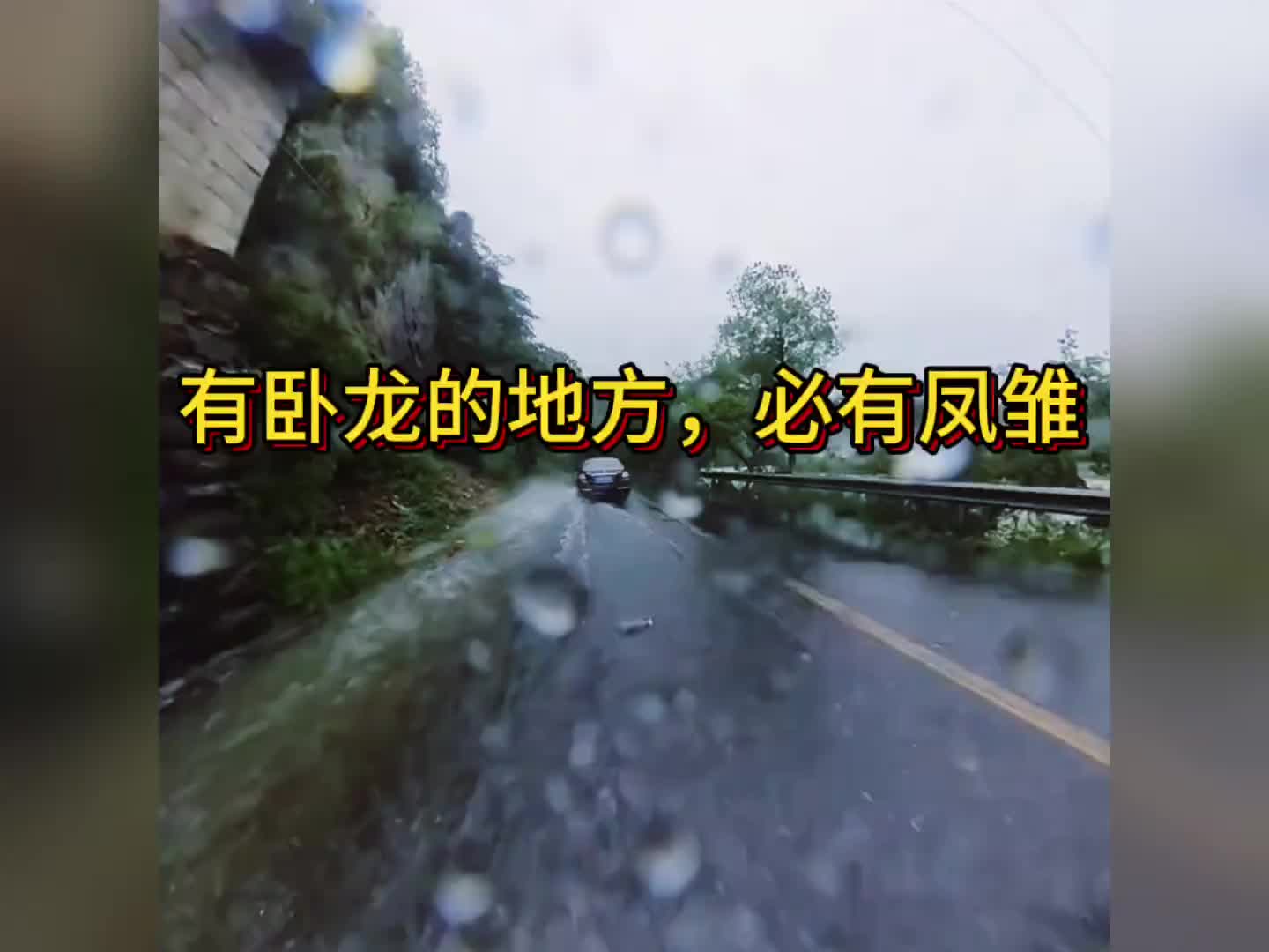 猛！真是有卧龙的地方必有凤雏呀！