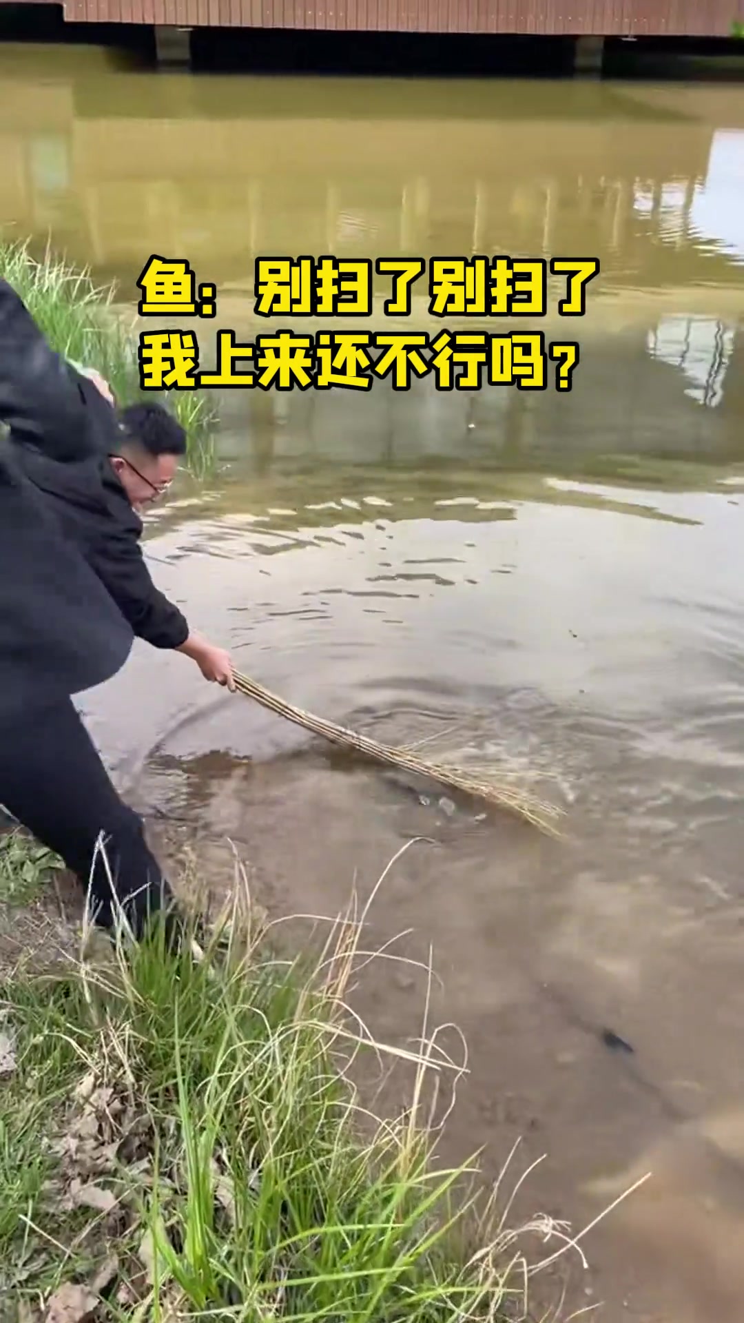 鱼：别扫了别扫了，我上来还不行吗