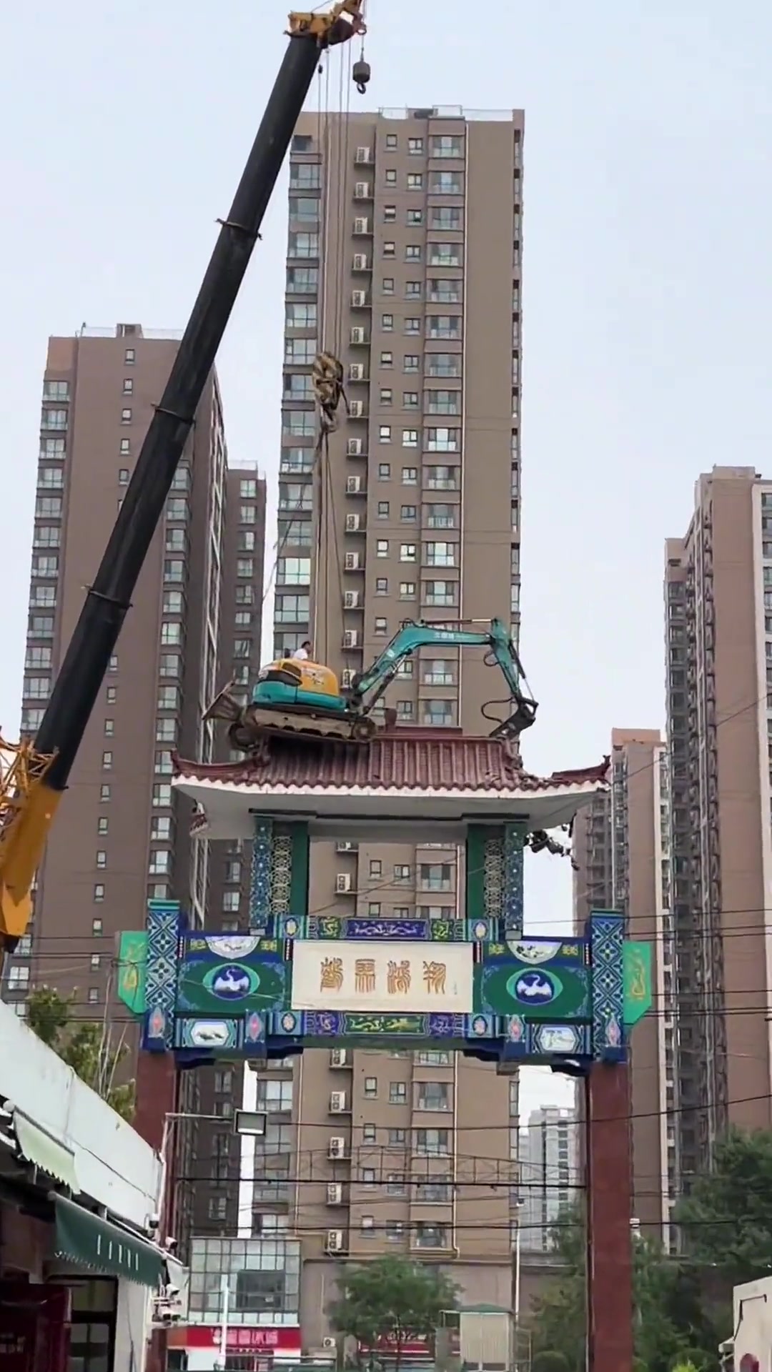 一个敢吊！一个敢干！都是人才！！！