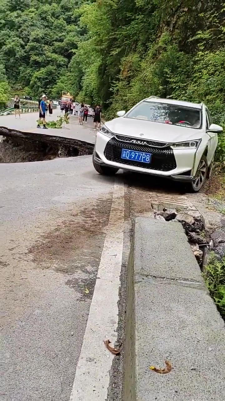 果然人胆高大艺