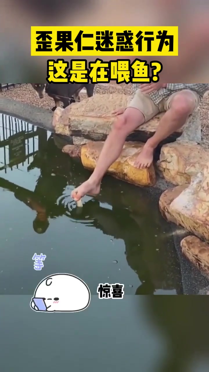 歪果仁迷惑行为这是在喂鱼