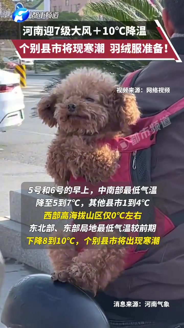 河南迎7级大风10降温