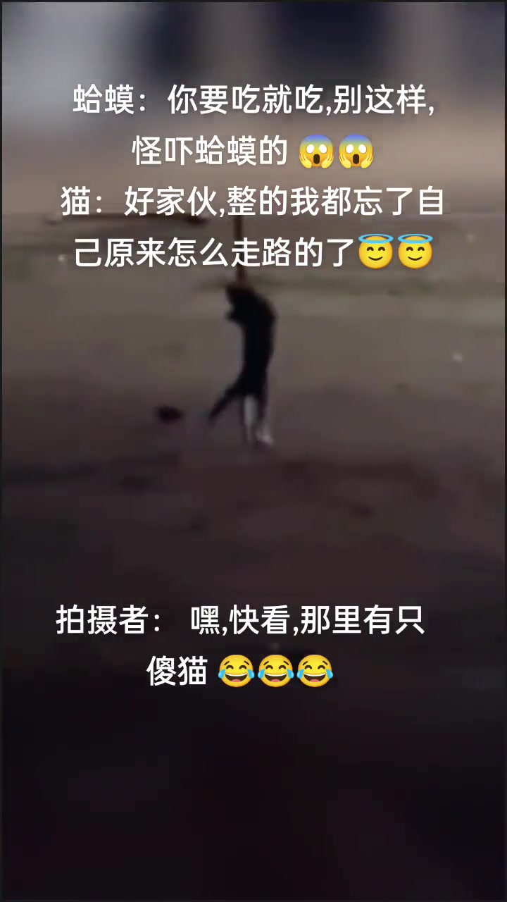 蛤蟆：你要吃就吃，别这样