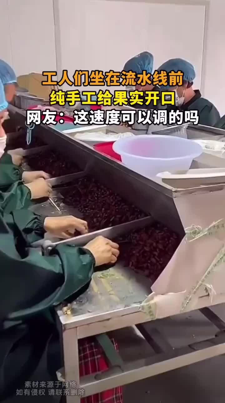原来松子是人工开的口