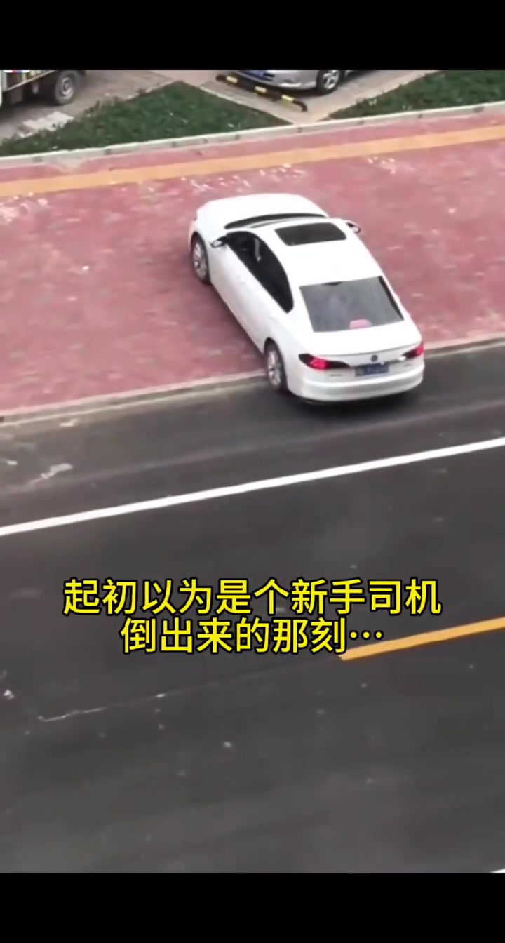 新手司机：这题我会！