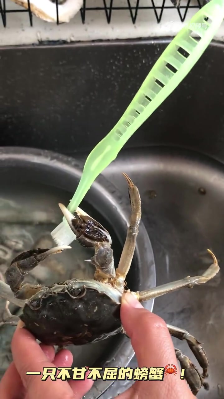 一只不甘不屈的螃蟹
