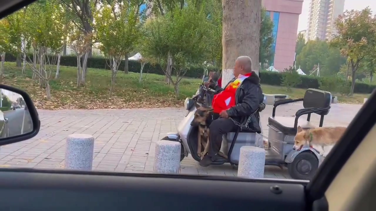 你走你的阳光道！我走我的独木桥！！