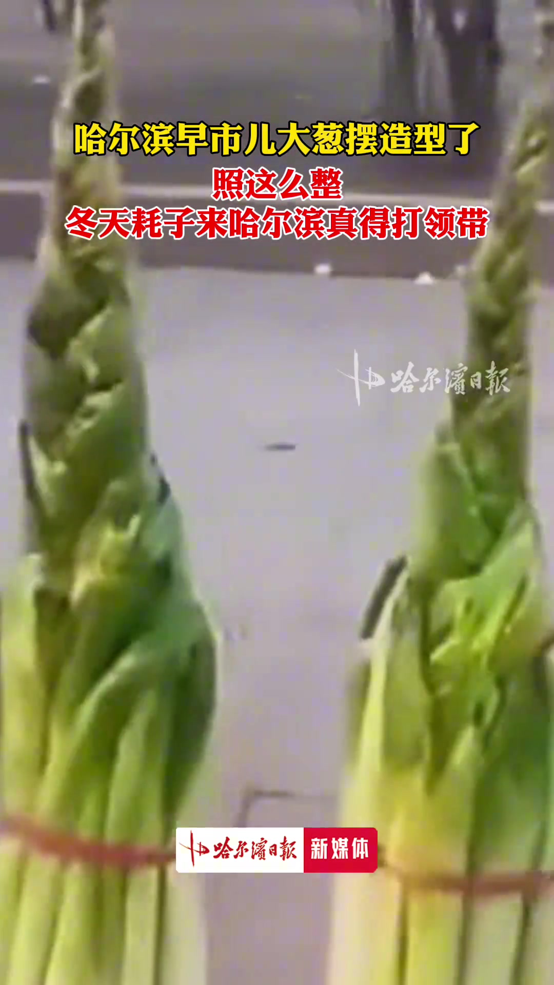 哈尔滨早市大葱摆造型了