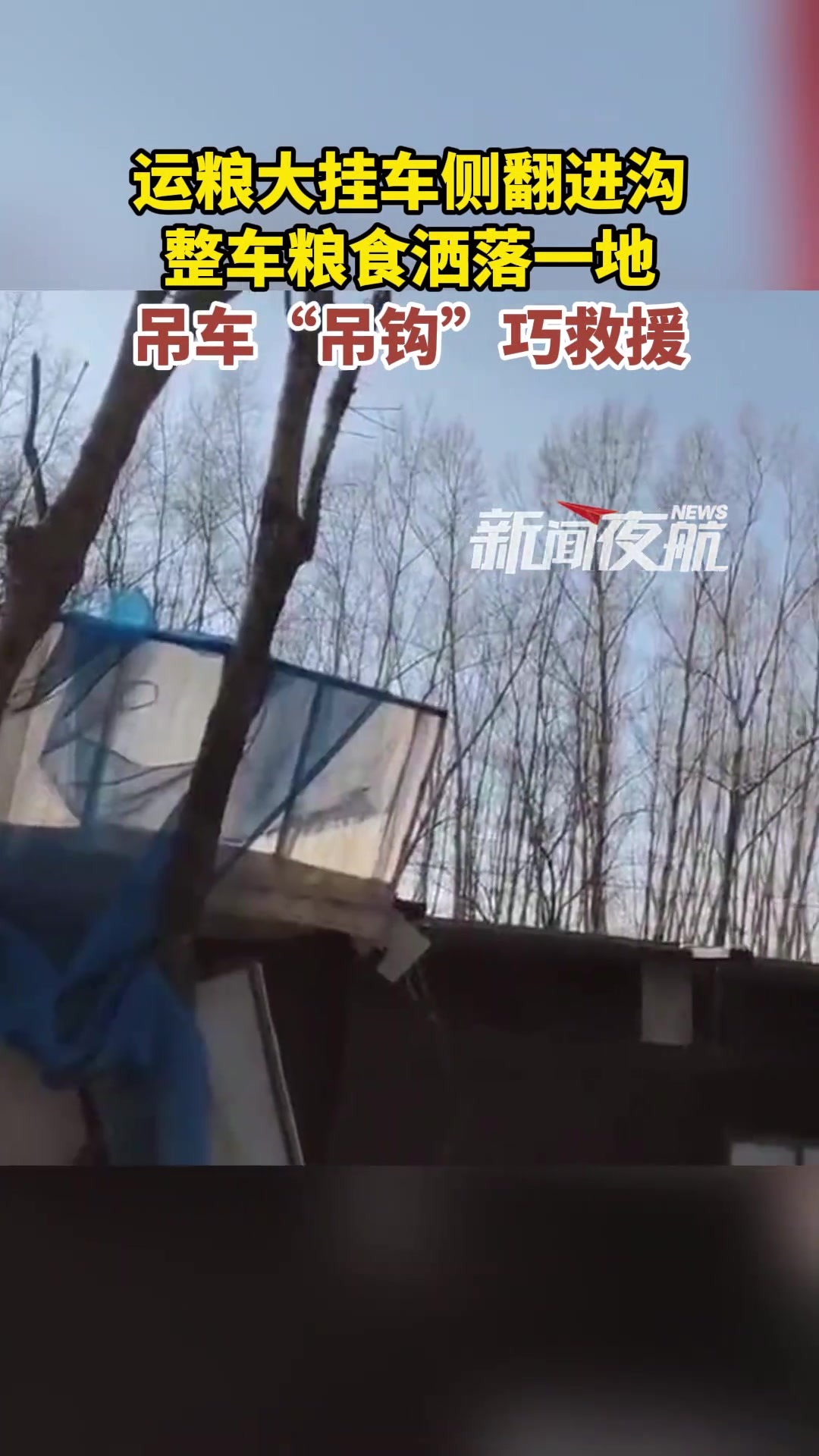 运粮大挂车侧翻进沟整车粮食洒落一地