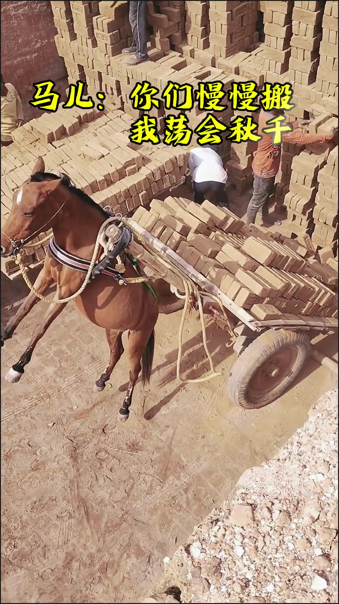 马儿你们慢慢搬，我荡会儿秋千