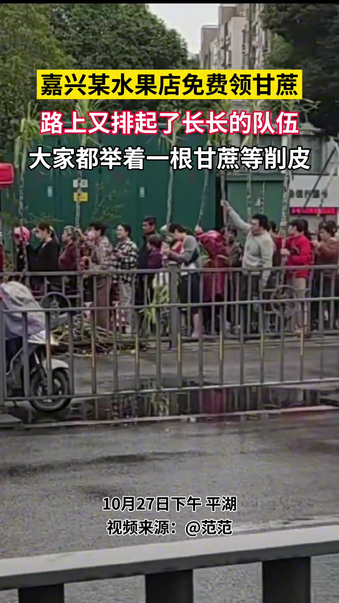 嘉兴某水果店免费领甘蔗