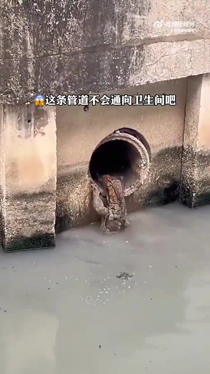 什么叫惊喜