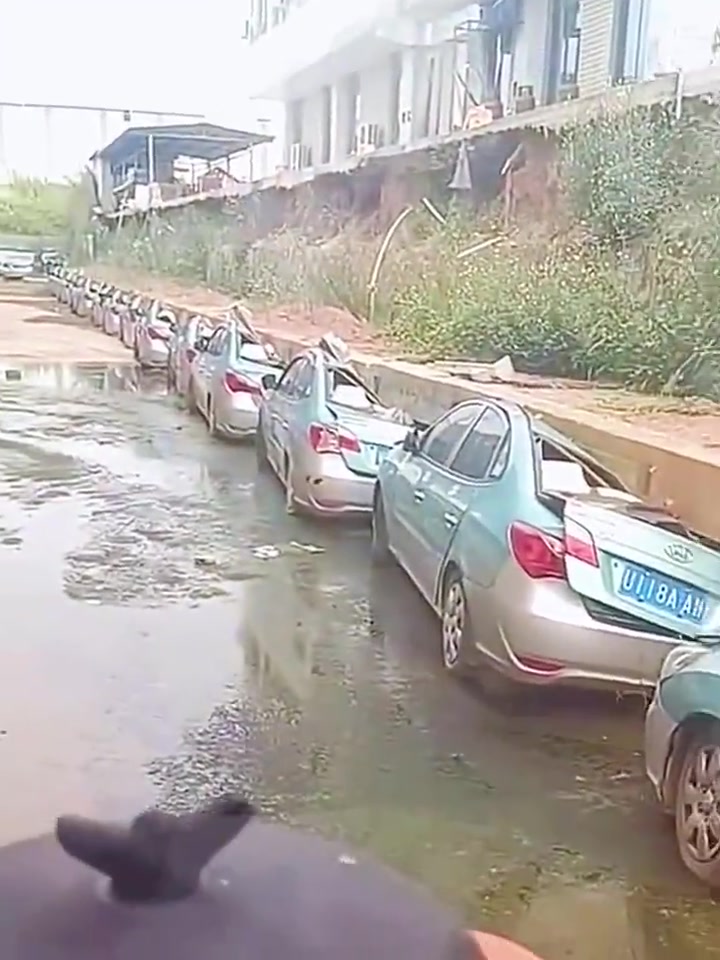 这队形真整齐，保险公司赔不赔啊