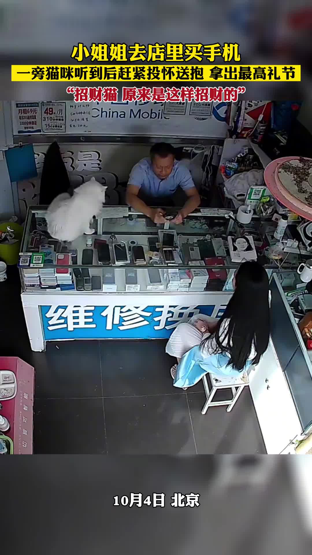 原来这就是招财猫