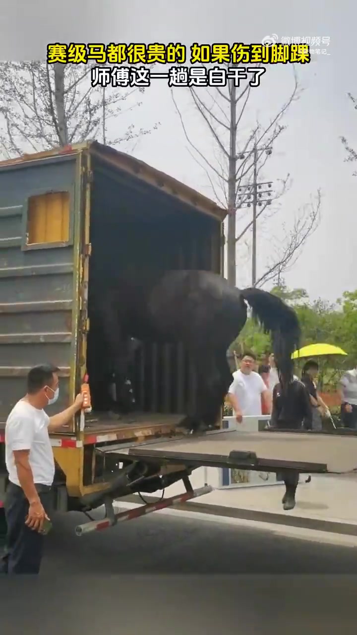 差点赔的裤衩不剩