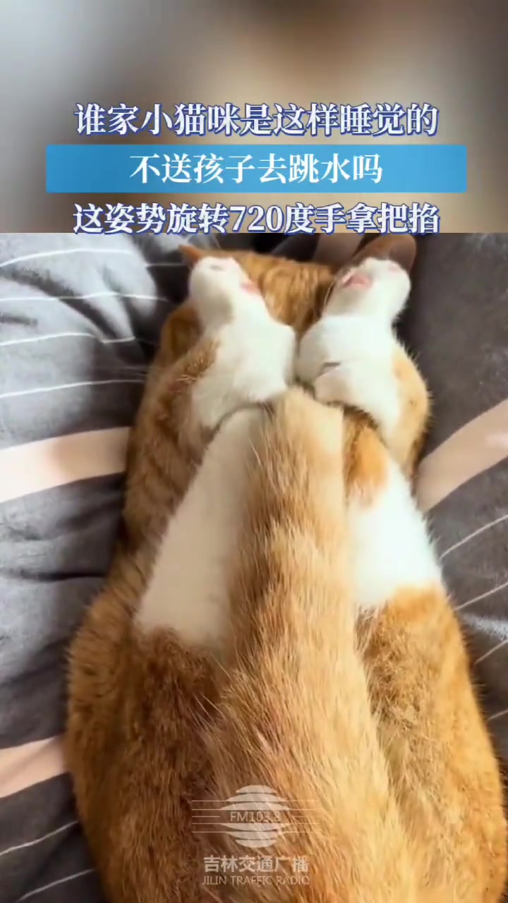 谁家小猫咪是这样睡觉的