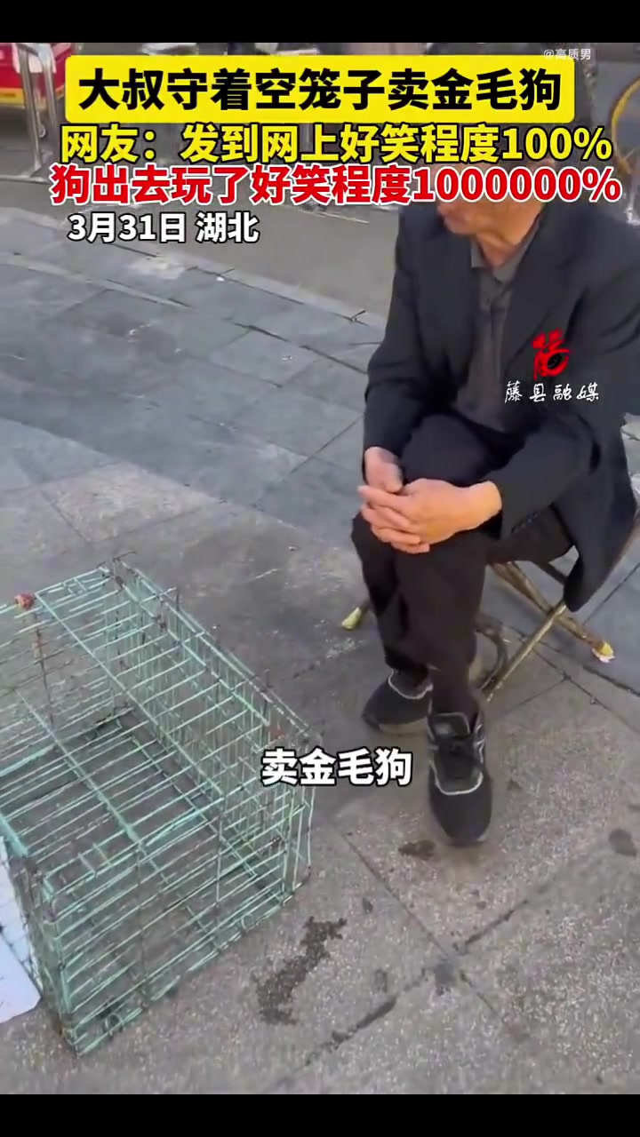 大叔守着空笼子卖金毛