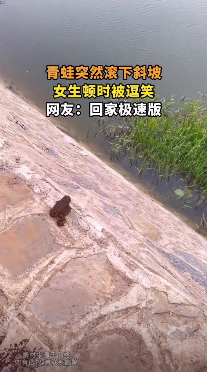 青蛙突然滚下斜坡，女生顿时被逗笑