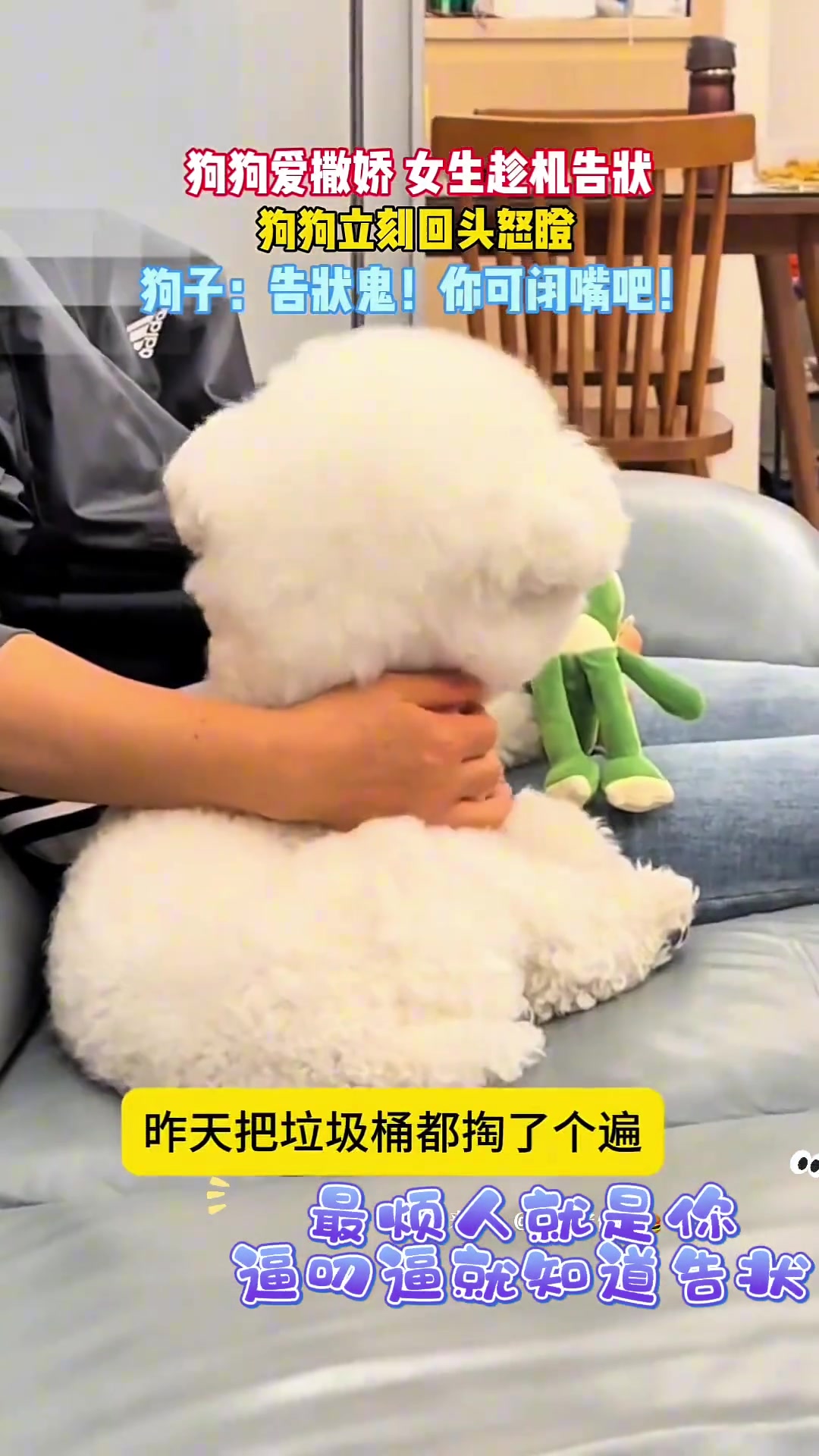 狗狗爱撒娇女生趁机告状