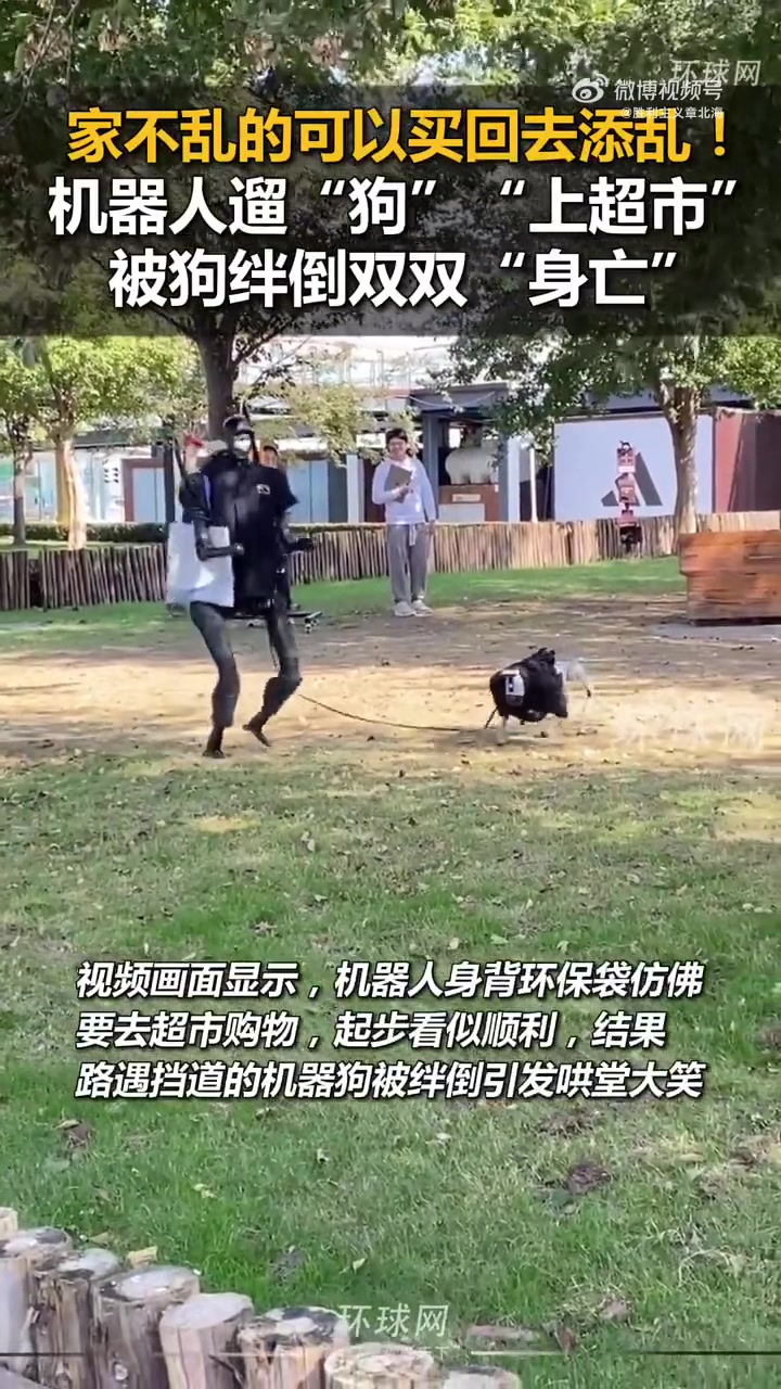 起猛了！看见机器人在溜机器狗！还摔了！